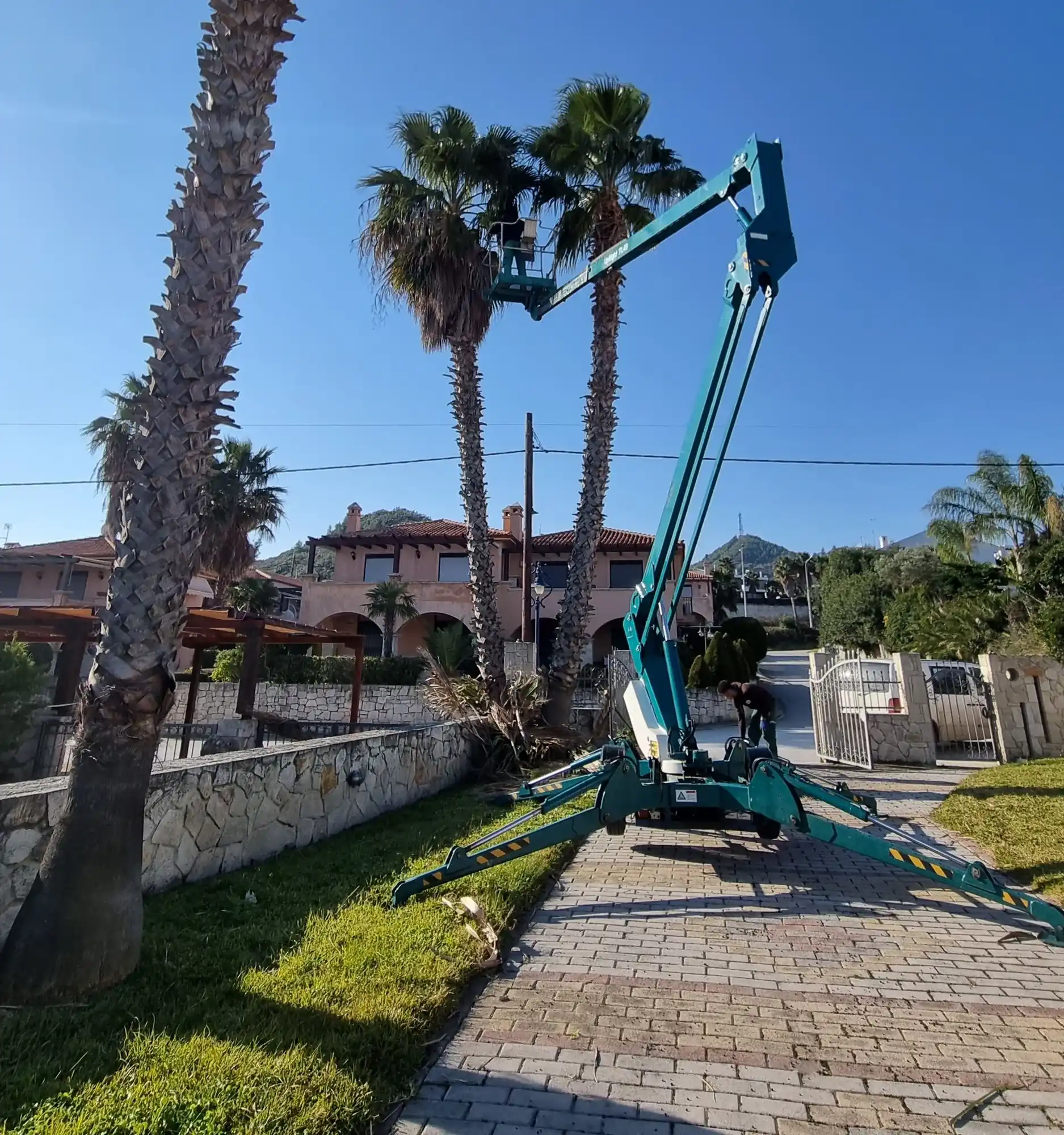 Aerial work platform extended to prune tall palm trees