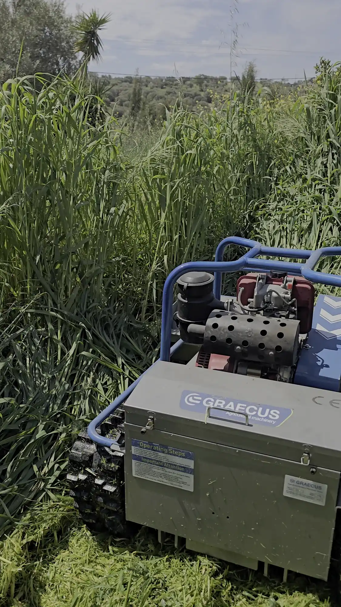 Flail mower in tall grass while clearing a field