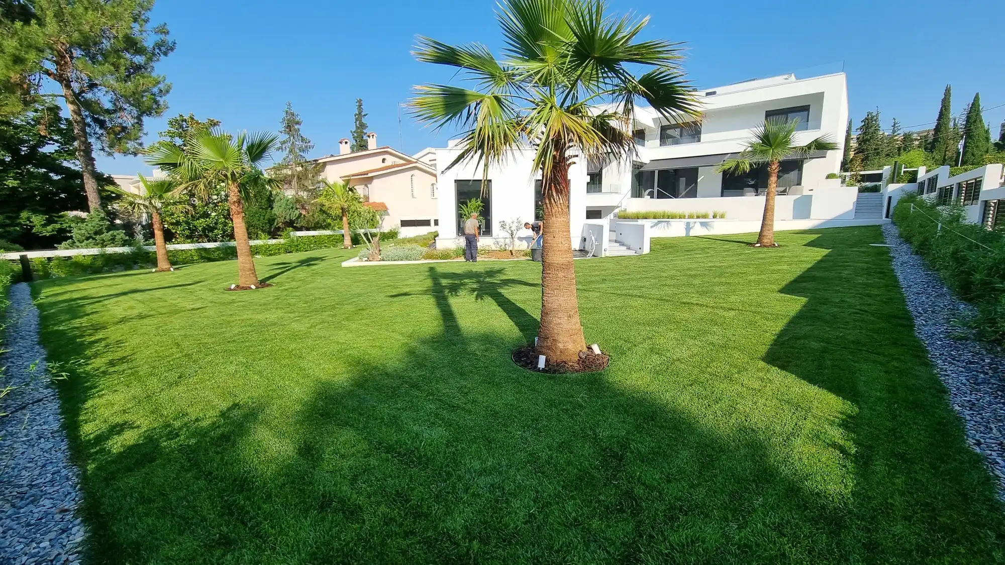 Μεγάλο γκαζόν με φοίνικες μπροστά σε σύγχρονη βίλα