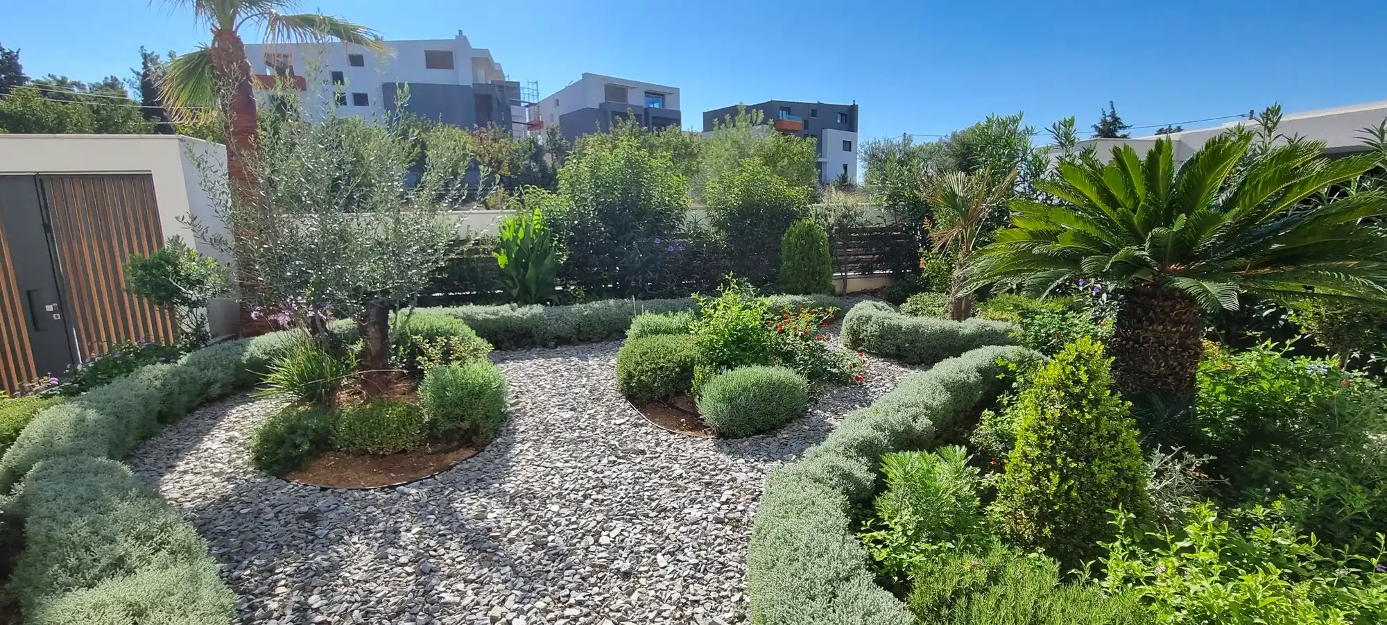 Panoramic view of a garden with palms, an olive tree and gravel beds