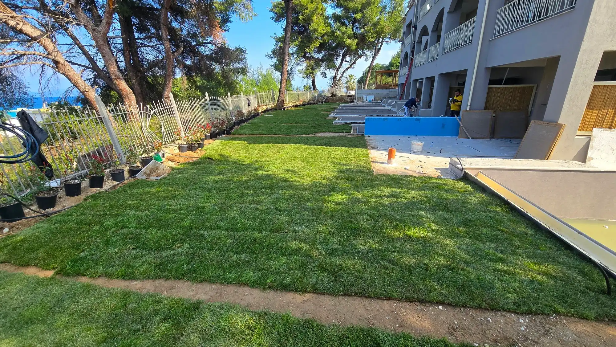 Newly laid roll-out turf in a hotel garden